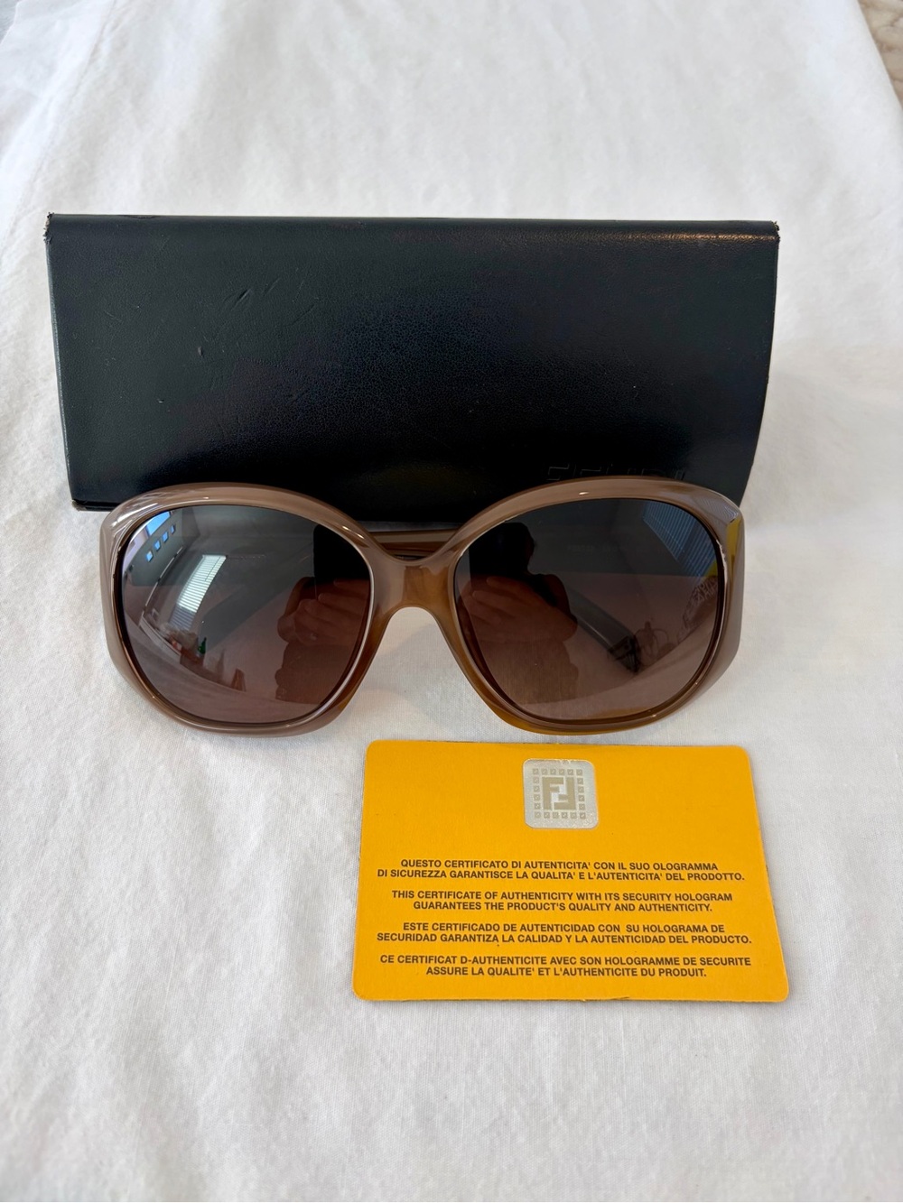 Fendi Oversized Sunglasses in Brown with Dark Brown Lenses
